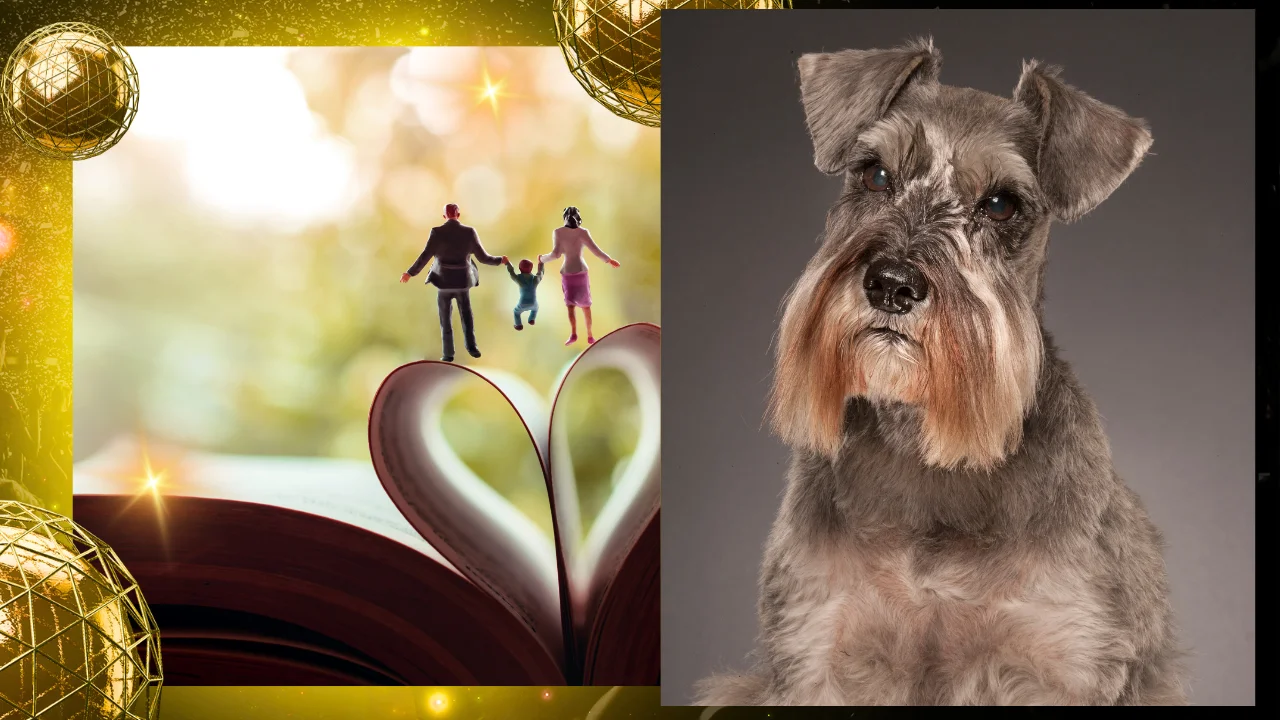 أشرطة بولينجر