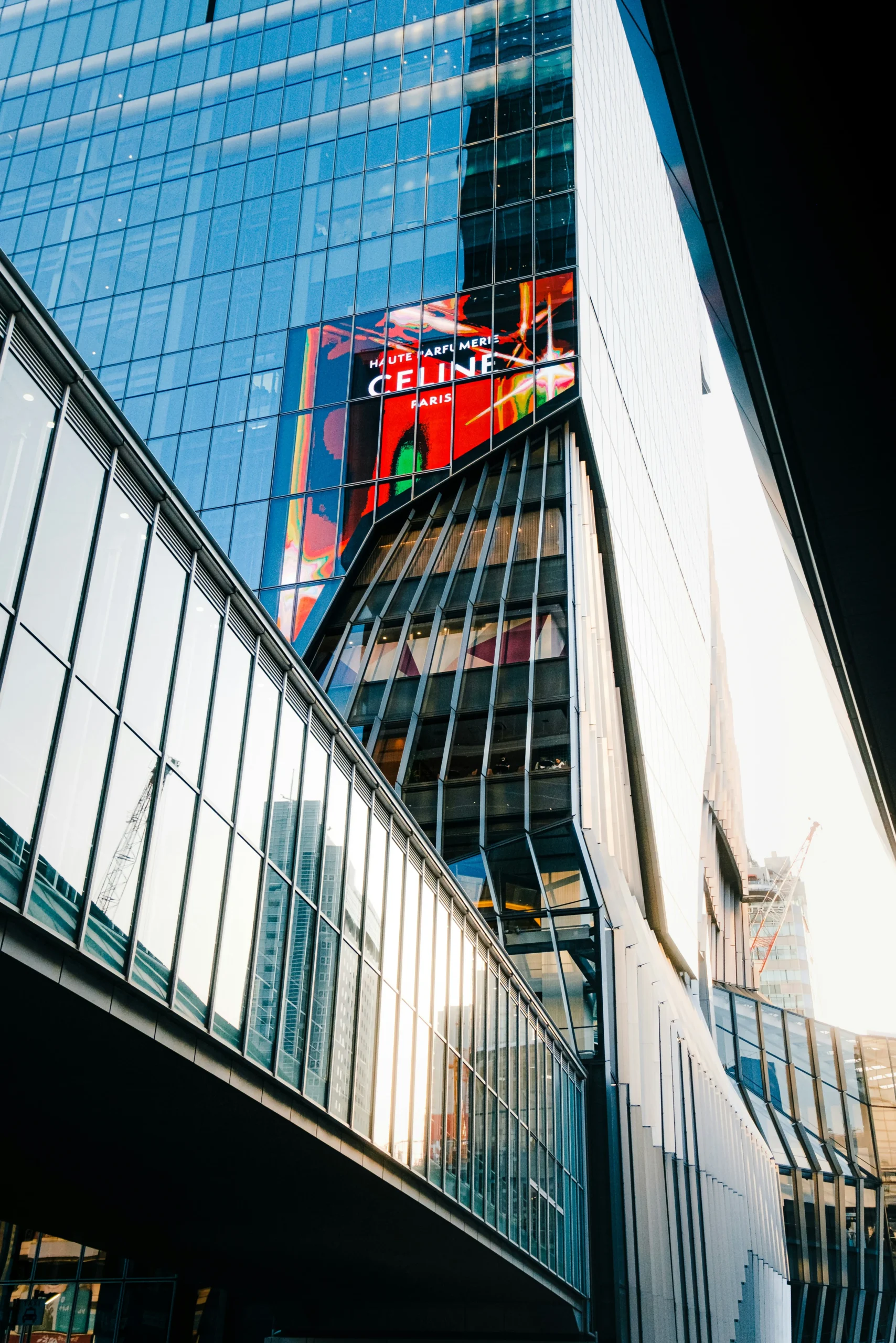 تحسين ترتيب الموقع