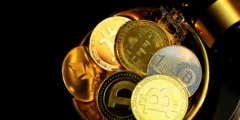 أنواع العملات الرقمية الأساسية أنواع العملات الرقمية الأساسية